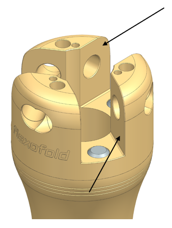 Bladspor illustration